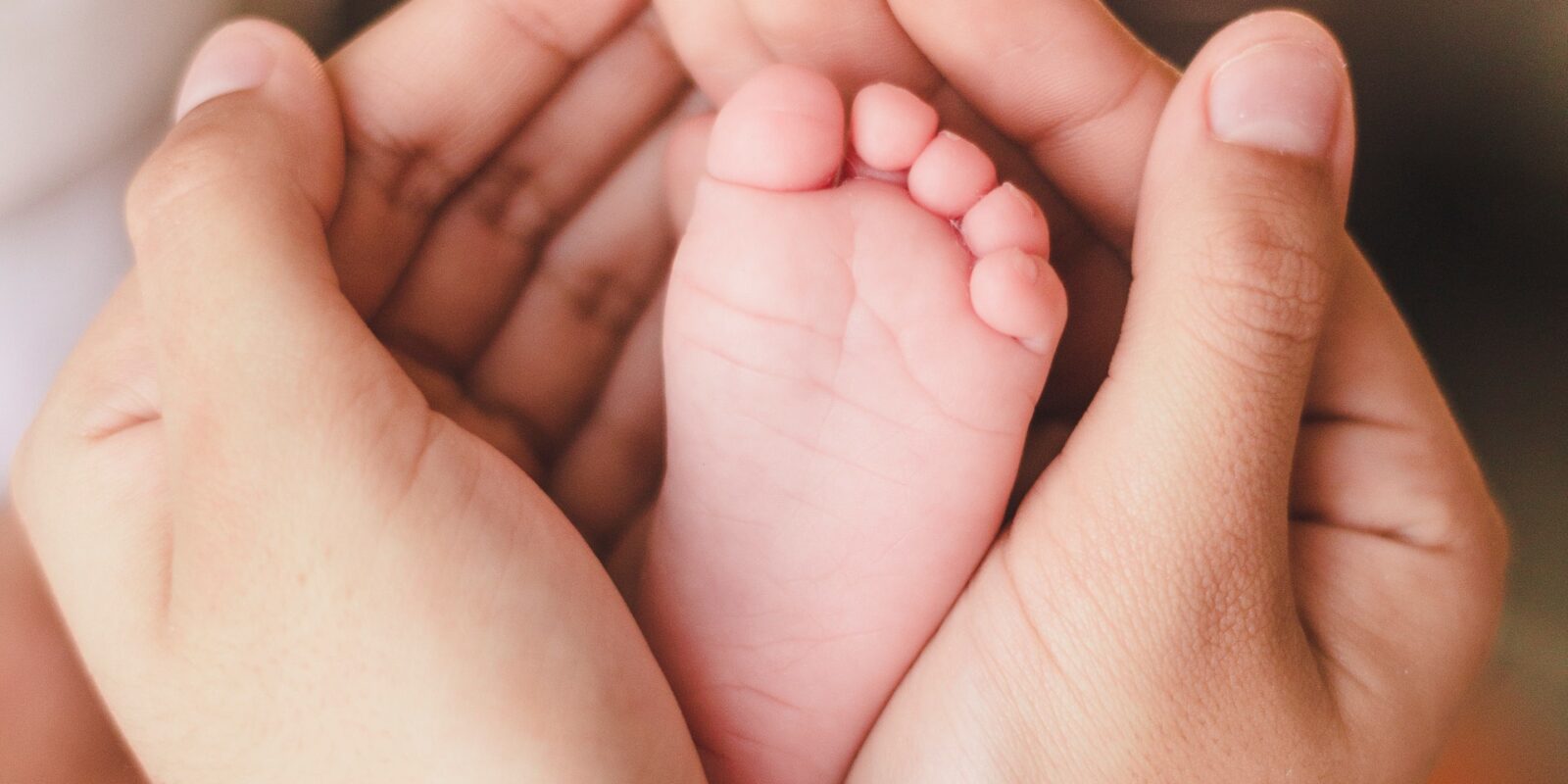 pexels-laura-garcia-3564304